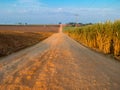 Rural orange dirt road with blue sky in sugar cane plantation Royalty Free Stock Photo