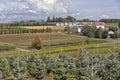 Rural Oregon nurseries and farmland.