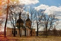 Rural orthodox church in the grove