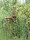 Rural Overgrowth - Tractor and Weeds