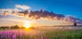 Rural panorama landscape with sunrise and blossoming meadow Royalty Free Stock Photo