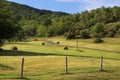 Rural pastoral landscape with farming green fields, haystack,hills forest. Royalty Free Stock Photo