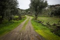 A rural path in Barroca Schist Village