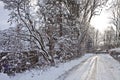 Rural path in Bavarian countryside covered by snow