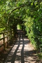 Rural path from Cambridge to Grantchester Royalty Free Stock Photo