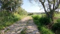 A rural path next to Lexim village