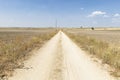 Rural path between Palacios de Goda and Honquilana