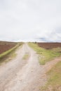 Rural path on Peruvian countryside in the Andes. Royalty Free Stock Photo