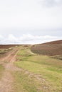 Rural path on Peruvian countryside in the Andes. Royalty Free Stock Photo