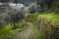 A rural path with stones in Barroca Schist Village