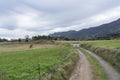 Rural pathway across green meadow landscape