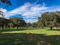 Rural pathway across the pasture with holm oaks and blue sky and clouds in Spain Royalty Free Stock Photo