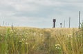 Rural pathway along weeds, wild herbs and field of cereals Royalty Free Stock Photo