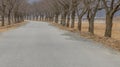 Rural paved road lined with trees