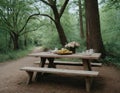 Rural picnic in the forest. Royalty Free Stock Photo