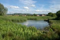 Rural pond in England