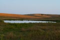 Rural Pond in the Sandhills