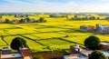 AI-generated Rural Punjab Landscape with Yellow Fields Royalty Free Stock Photo
