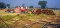 Indian farmers working in the field for to harvesting mustard Royalty Free Stock Photo