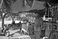 Unidentified man feeds a cow. Cow is a sacred animal in India.