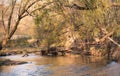 Rural River Landscape Fallen Tree Near Bridge Royalty Free Stock Photo