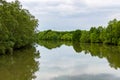 Rural river landscape summer river with bright sky and cloud