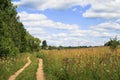 Rural road Royalty Free Stock Photo