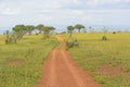 Rural Road in the African Veldt