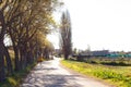 Rural road, agricultural tourism. Road surrounding crop fields