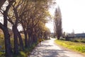 Rural road, agricultural tourism. Road surrounding crop fields