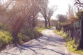 Rural road, agricultural tourism. Road surrounding crop fields