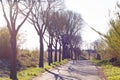 Rural road, agricultural tourism. Road surrounding crop fields