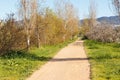 Rural road, agricultural tourism. Road surrounding crop fields