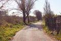 Rural road, agricultural tourism. Road surrounding crop fields