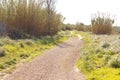 Rural road, agricultural tourism. Road surrounding crop fields