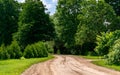 Rural road without asphalt surrounded by green trees Royalty Free Stock Photo