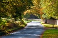 Rural road in autumn running alonside woodland Royalty Free Stock Photo