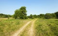 Rural road in belsrus Royalty Free Stock Photo