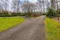 Rural road with a bifurcation and a pole lamp among green grass with bare trees in the background,