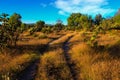 Rural road and bright blue sky with clouds