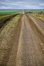 Rural road disappearing on the horizon across the field