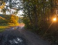 rural road at the exit from the forest in the evening at sunset in autumn