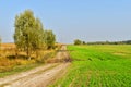 Rural road, in the fall, running along a field with sprouts of winter wheat. Royalty Free Stock Photo