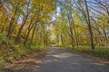 Rural Road in the Fall Royalty Free Stock Photo