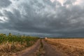 Rural road among farm fields at evening time Royalty Free Stock Photo