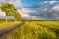 Rural road between fields in warm sunshine under dramatic sky