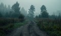 Rural road in the fog before dawn in the forest. Scary atmosphere of Halloween