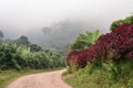Rural road through the foggy landscapes towards the cloud forests surrounding the small village of coffee growers in Honduras Royalty Free Stock Photo