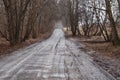 Rural road through the forest in early spring. Royalty Free Stock Photo