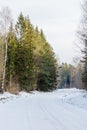 Rural road and forest in winter Royalty Free Stock Photo